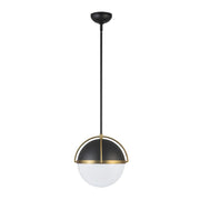 Artcraft - AC12040BB - One Light Pendant - Dahlia - Black, Brushed Brass