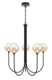 Eurofase - 48923-039 - Five Light Chandelier - Black