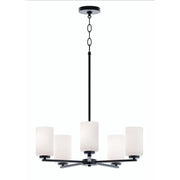 AFX Lighting - LEOP24MBBK - Five Light Chandelier - Leo - Black