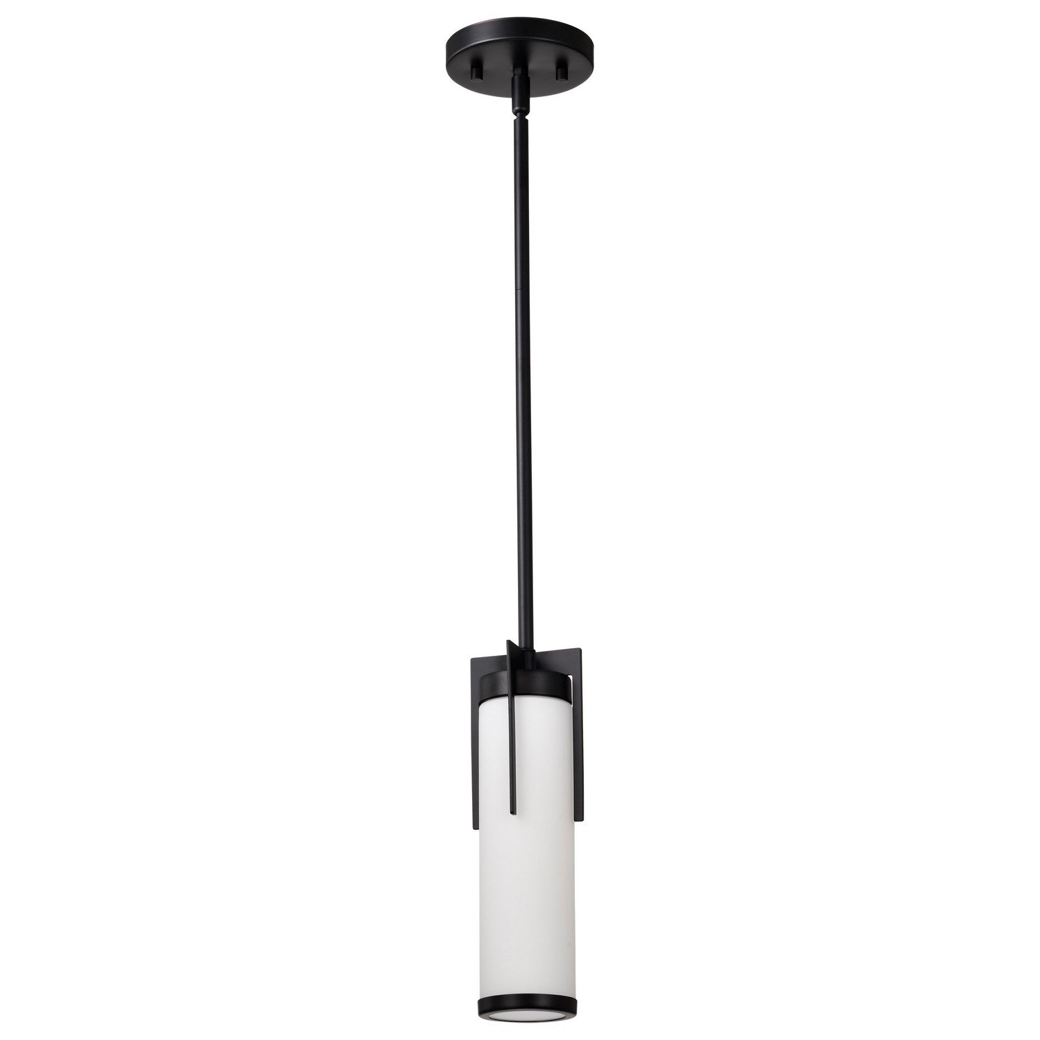 Nuvo Lighting - 60-8053 - Mini Pendant - Roselle - Matte Black