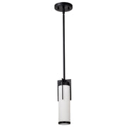 Nuvo Lighting - 60-8053 - Mini Pendant - Roselle - Matte Black