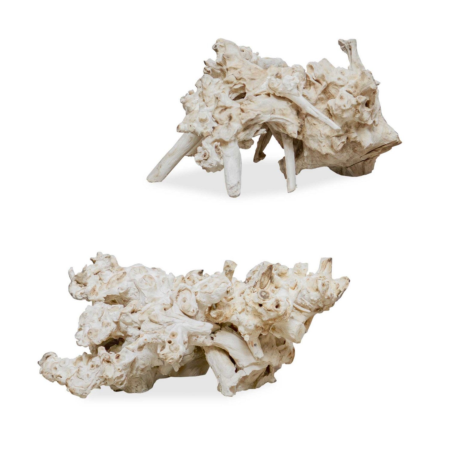 Uttermost - 17141 - Sculpture - Elemental - Bleached Residi Wood