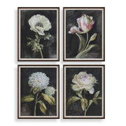 Uttermost - 32426 - Framed Prints, Set/4 - Florals On Black - Dark Brown