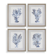 Uttermost - 32428 - Framed Prints, Set/4 - Shibori Coral - Light Gray Wood