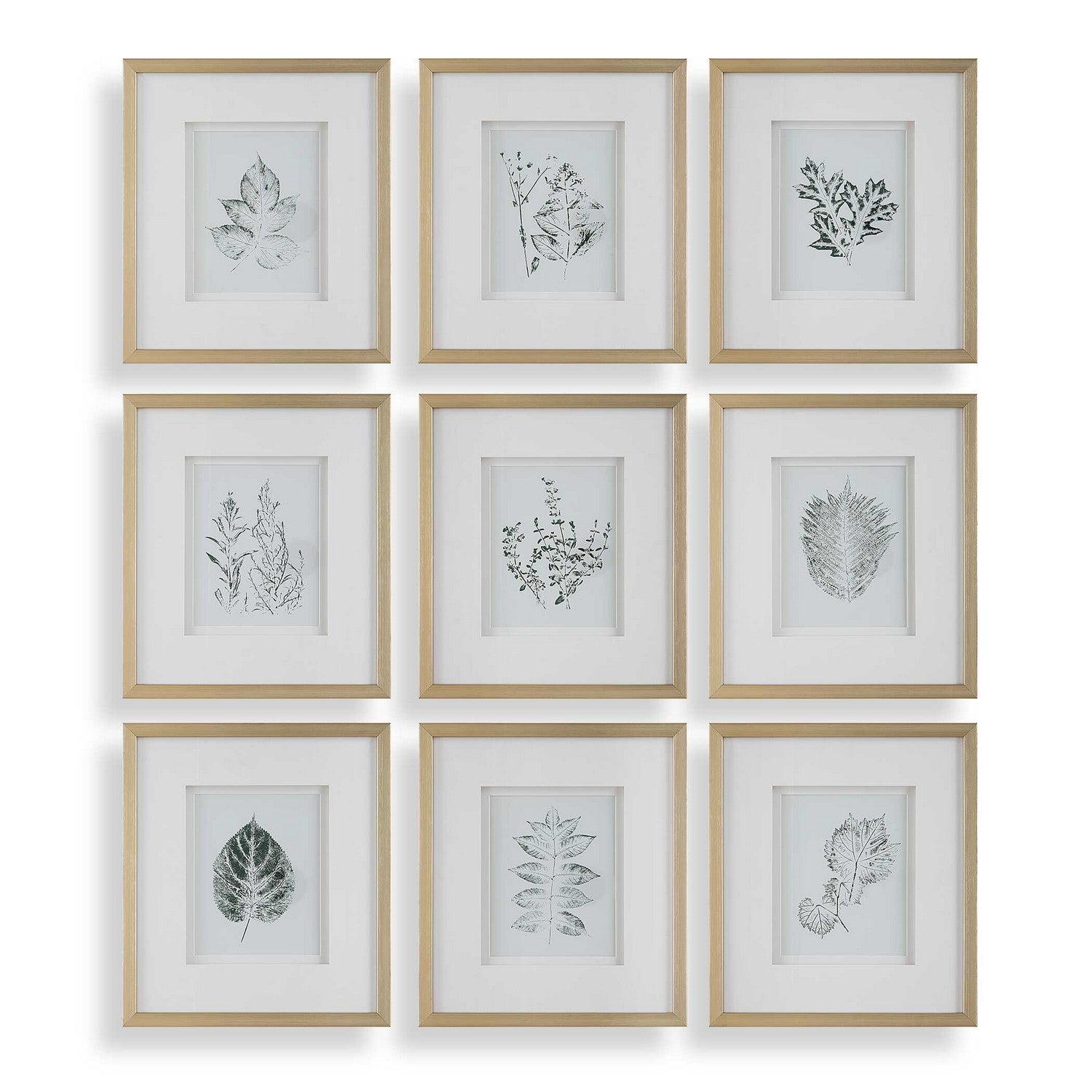 Uttermost - 32449 - Framed Botanical Prints Set/9 - Nature's - Gold