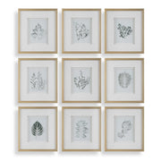 Uttermost - 32449 - Framed Botanical Prints Set/9 - Nature's - Gold