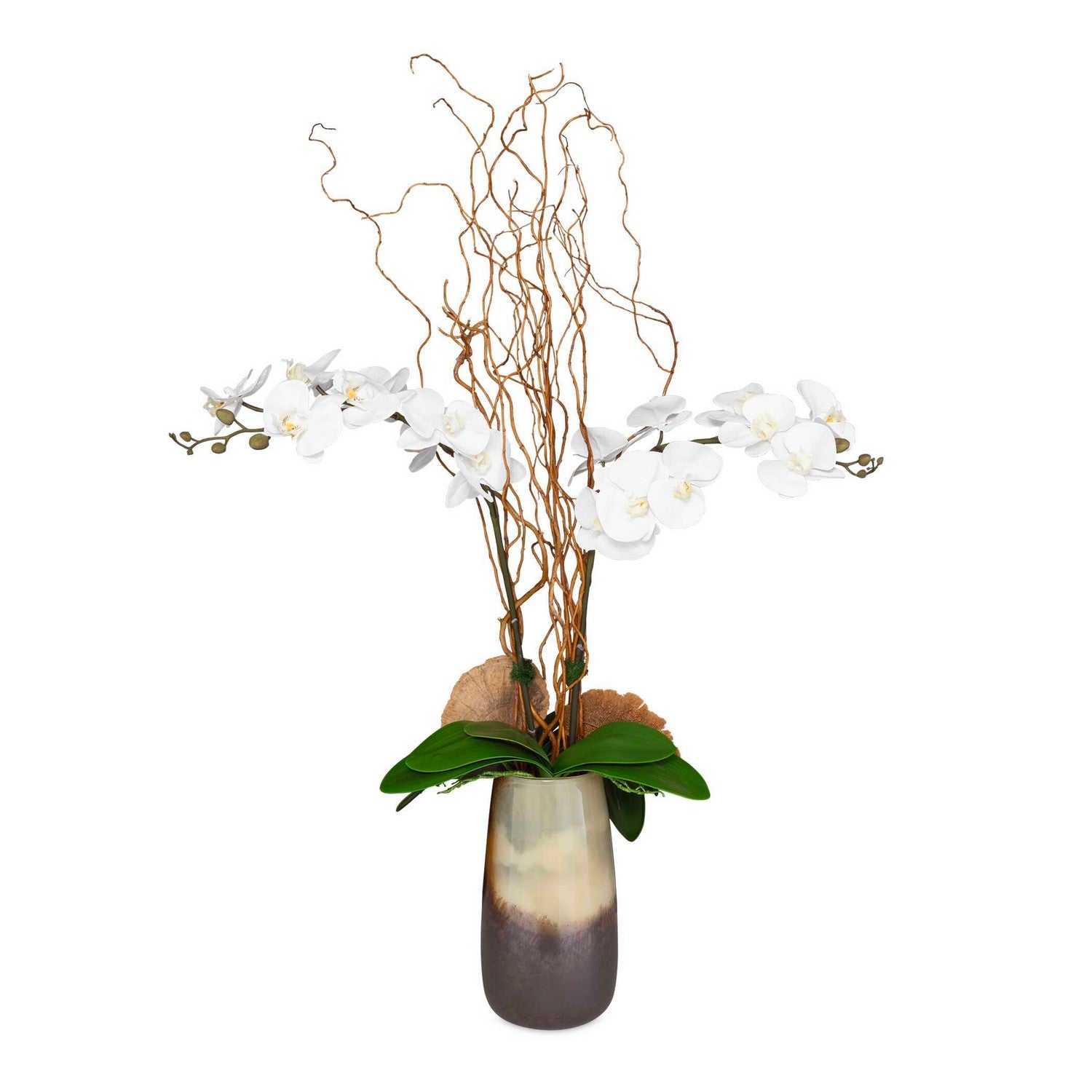 Uttermost - 60231 - Orchid With Vase - Earthbound Orchid - Natural Textures