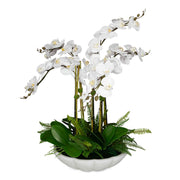 Uttermost - 60239 - Centerpiece - Flourish Orchid - White