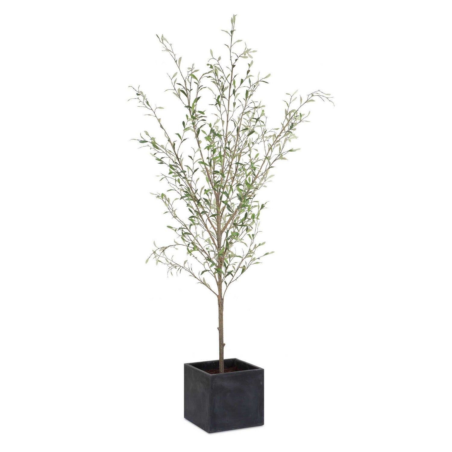 Uttermost - 60240 - Tree - Abundance - Olive