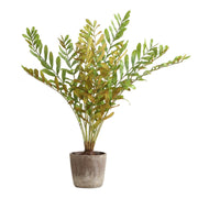 Uttermost - 60243 - Planter - Zamia - Rustic
