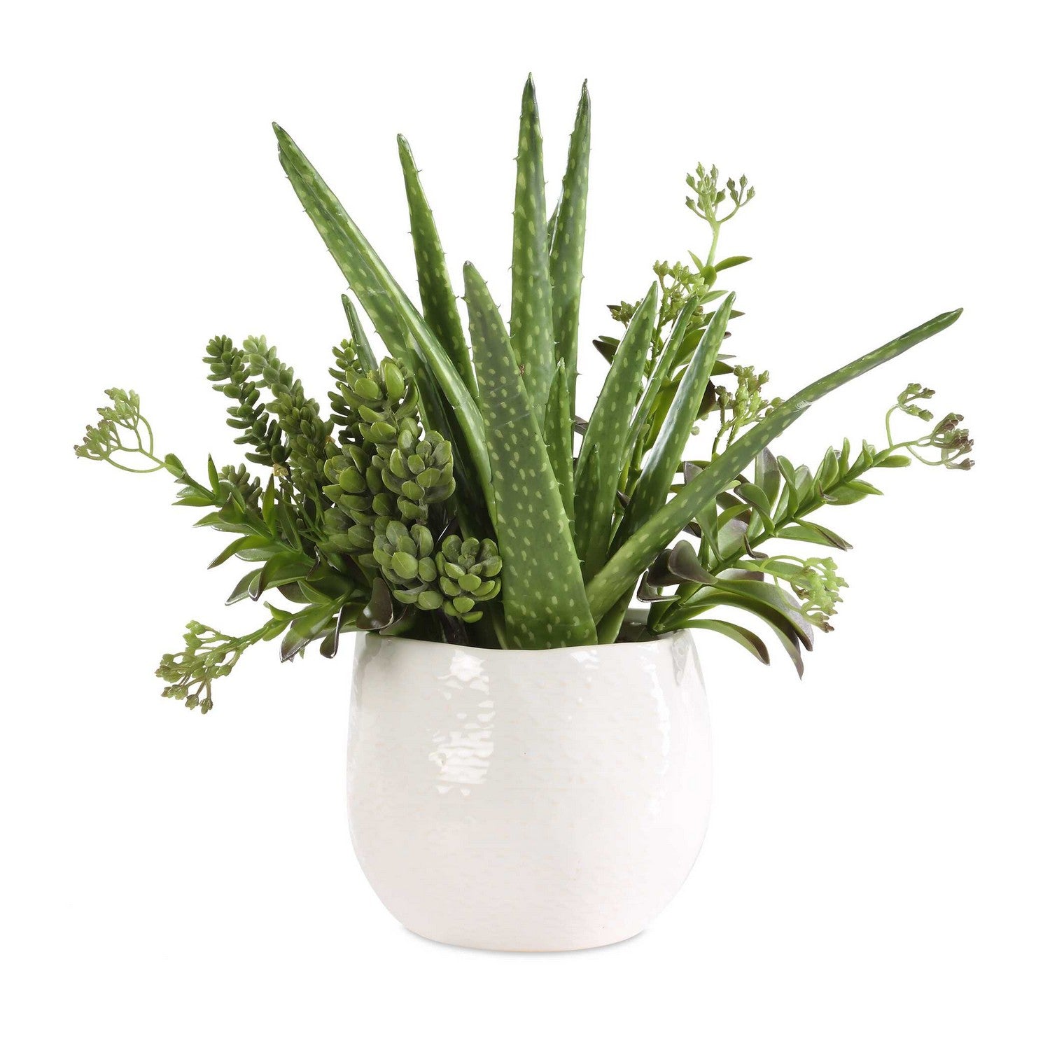 Uttermost - 60244 - Planter - Sundown Succulent - Gloss White