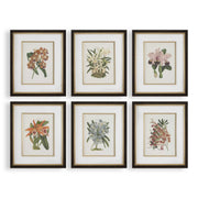 Uttermost - 32447 - Framed Prints Set/6 - Orchid