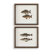Uttermost - 32448 - Framed Prints Set/2 - The Catch