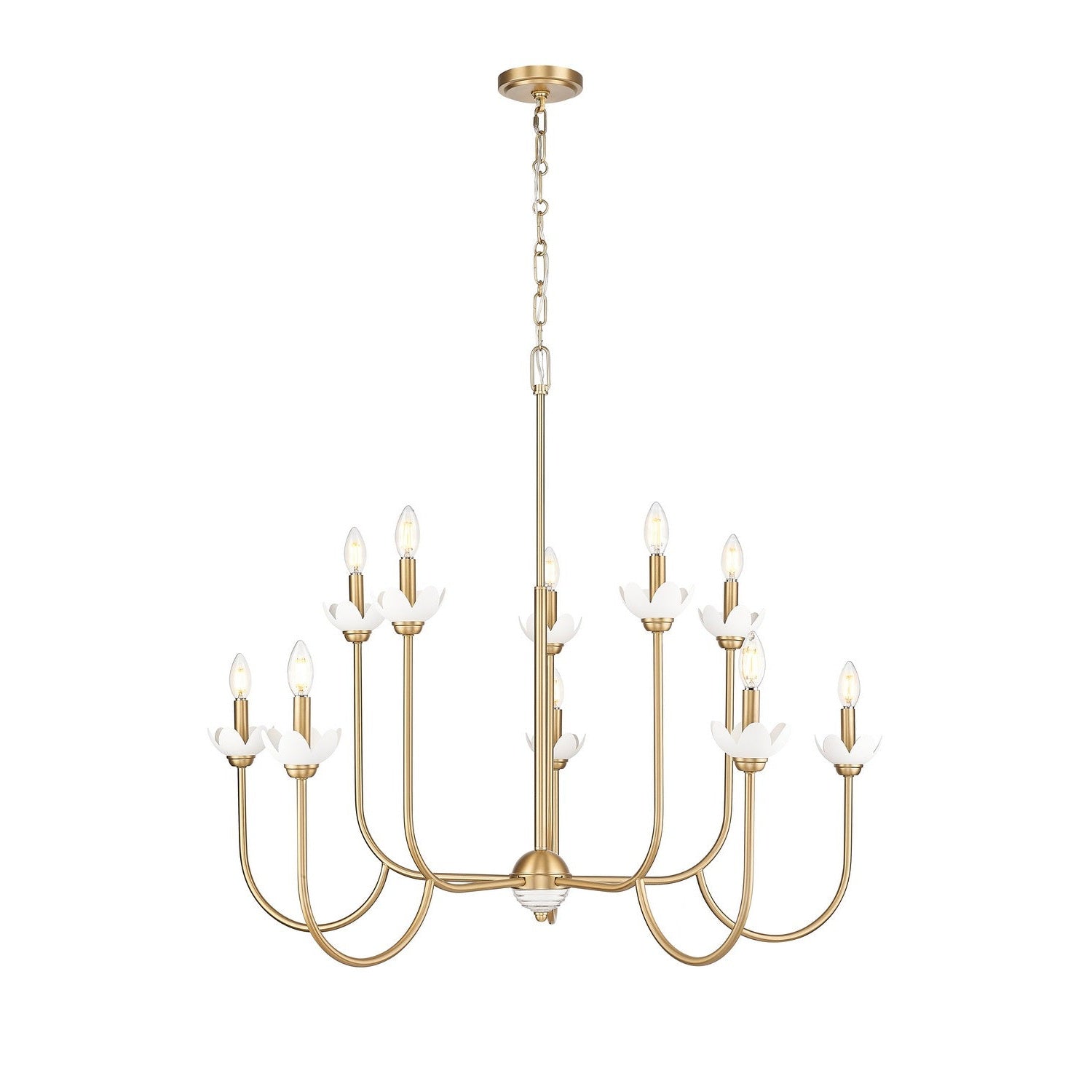 Z-Lite - 352-10MGLD - Ten Light Chandelier - Allistair - Modern Gold