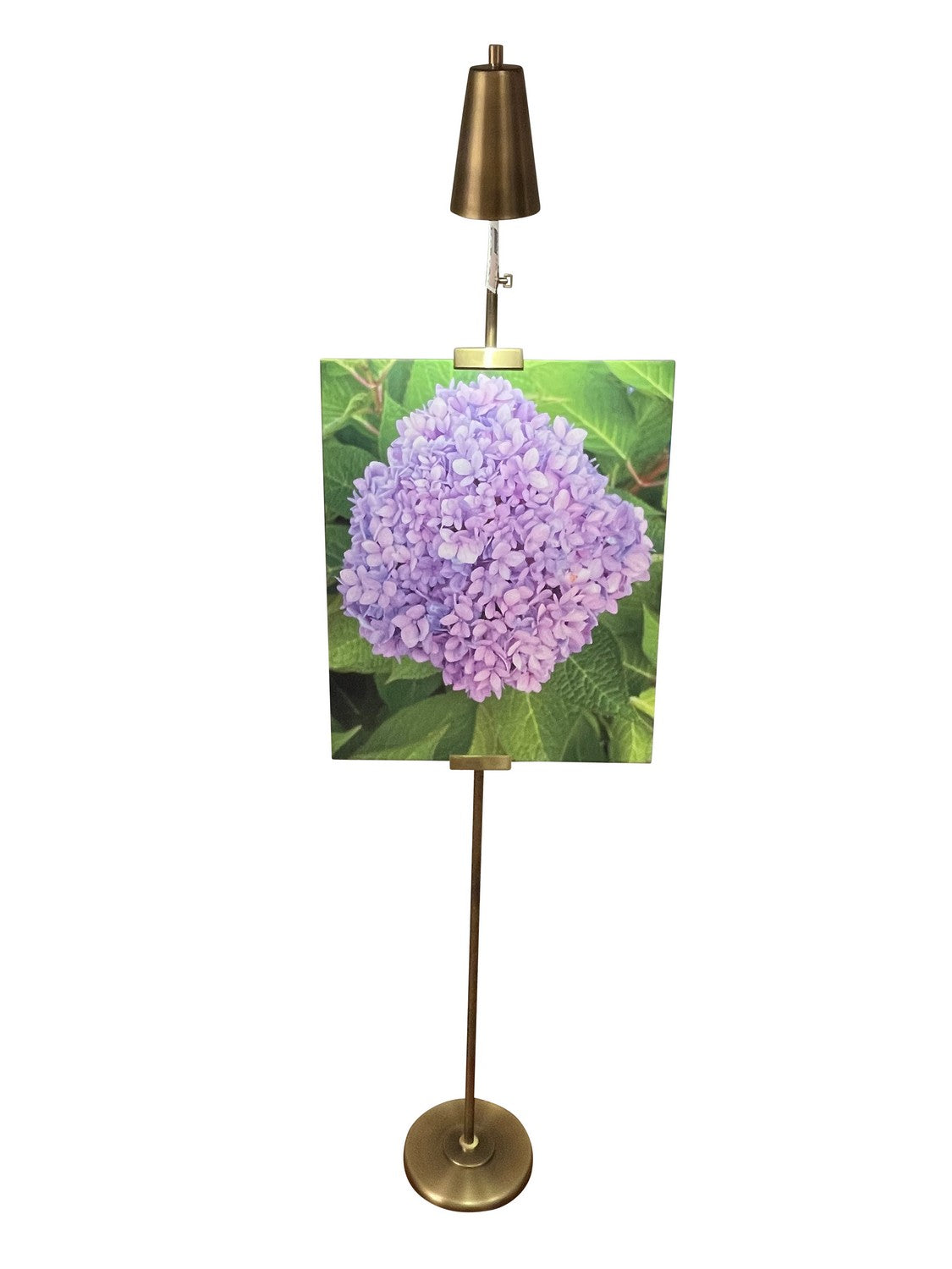 House of Troy - RN301-AB/SB - LED Floor Lamp - River North - Antique Brass/Satin Brass