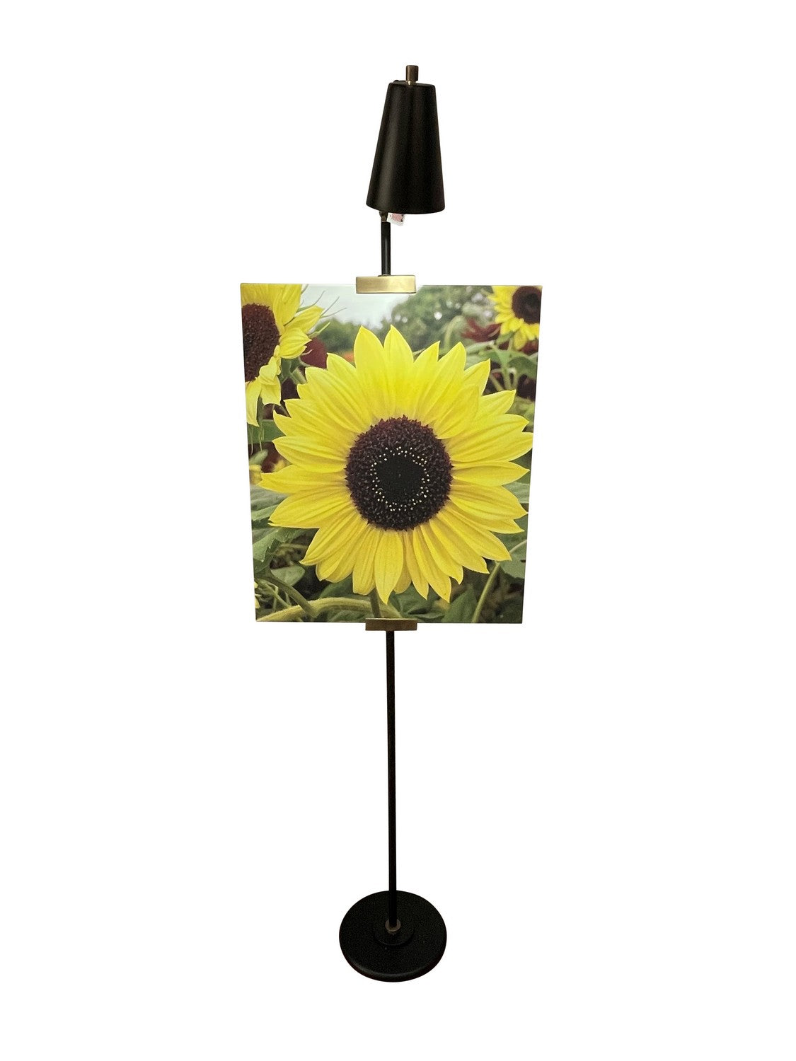 House of Troy - RN301-BLK/AB - LED Floor Lamp - River North - Black/Antique Brass