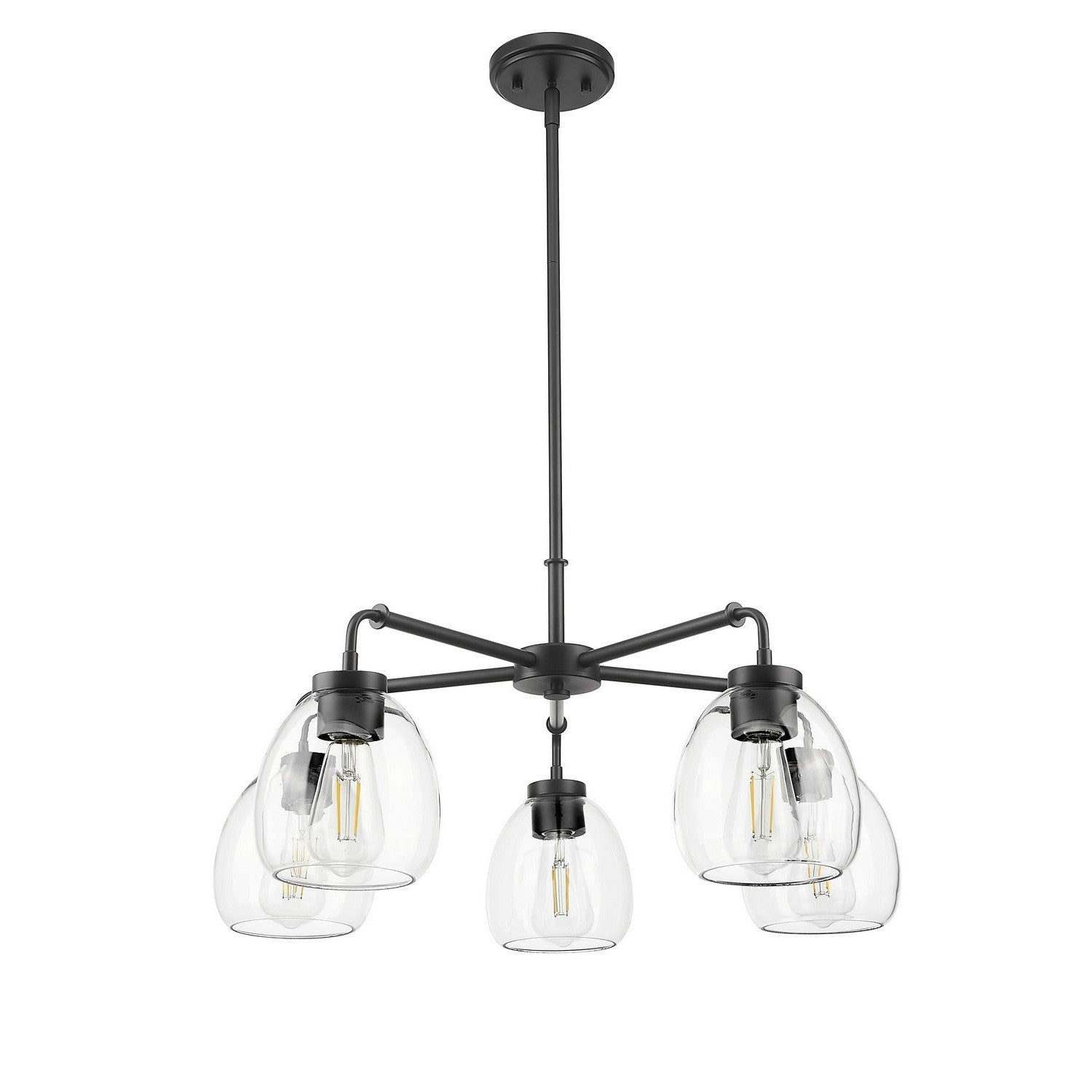 Acclaim Lighting - IN20063BK - Five Light Chandelier - Dawes - Matte Black