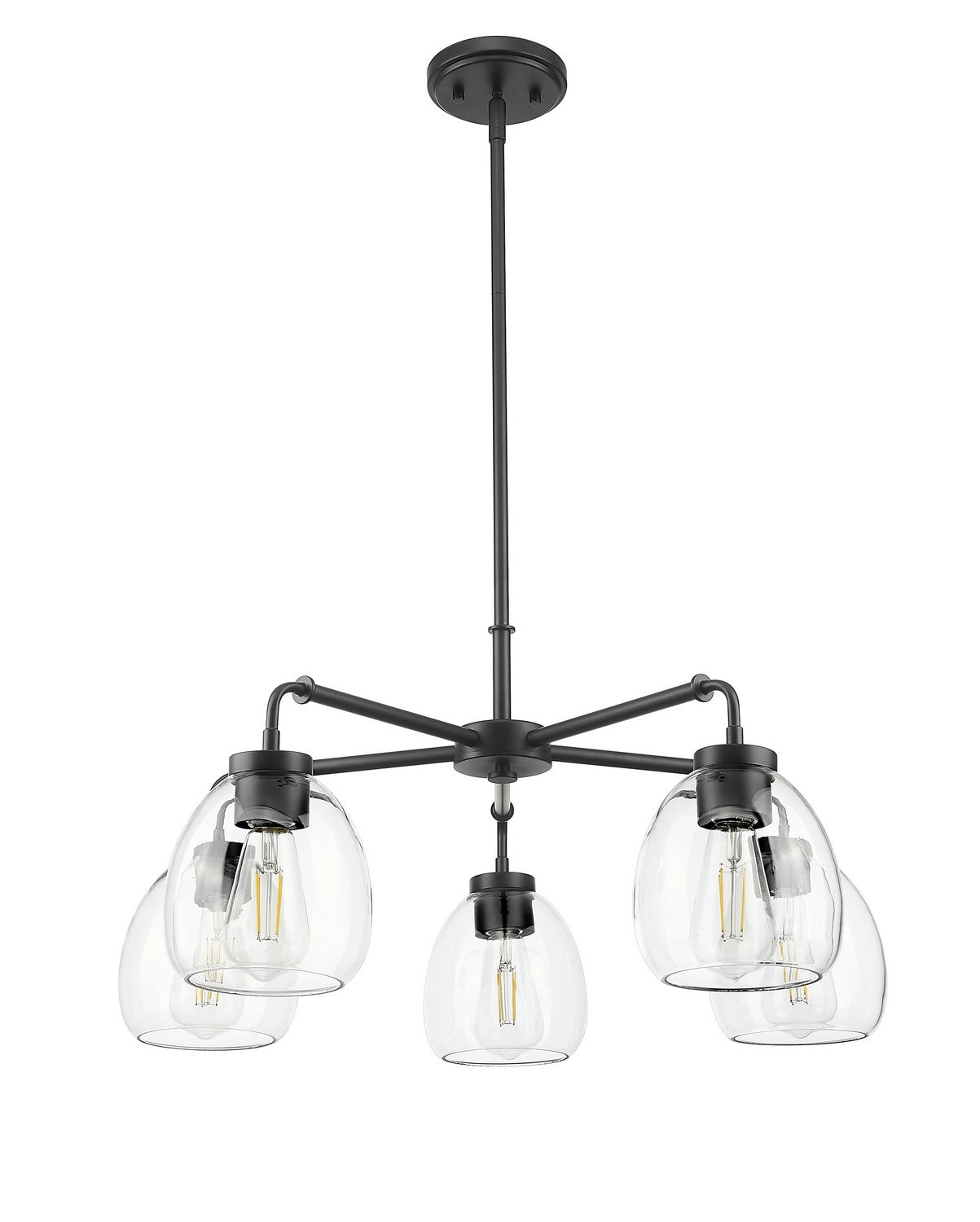 Acclaim Lighting - IN20063BK - Five Light Chandelier - Dawes - Matte Black