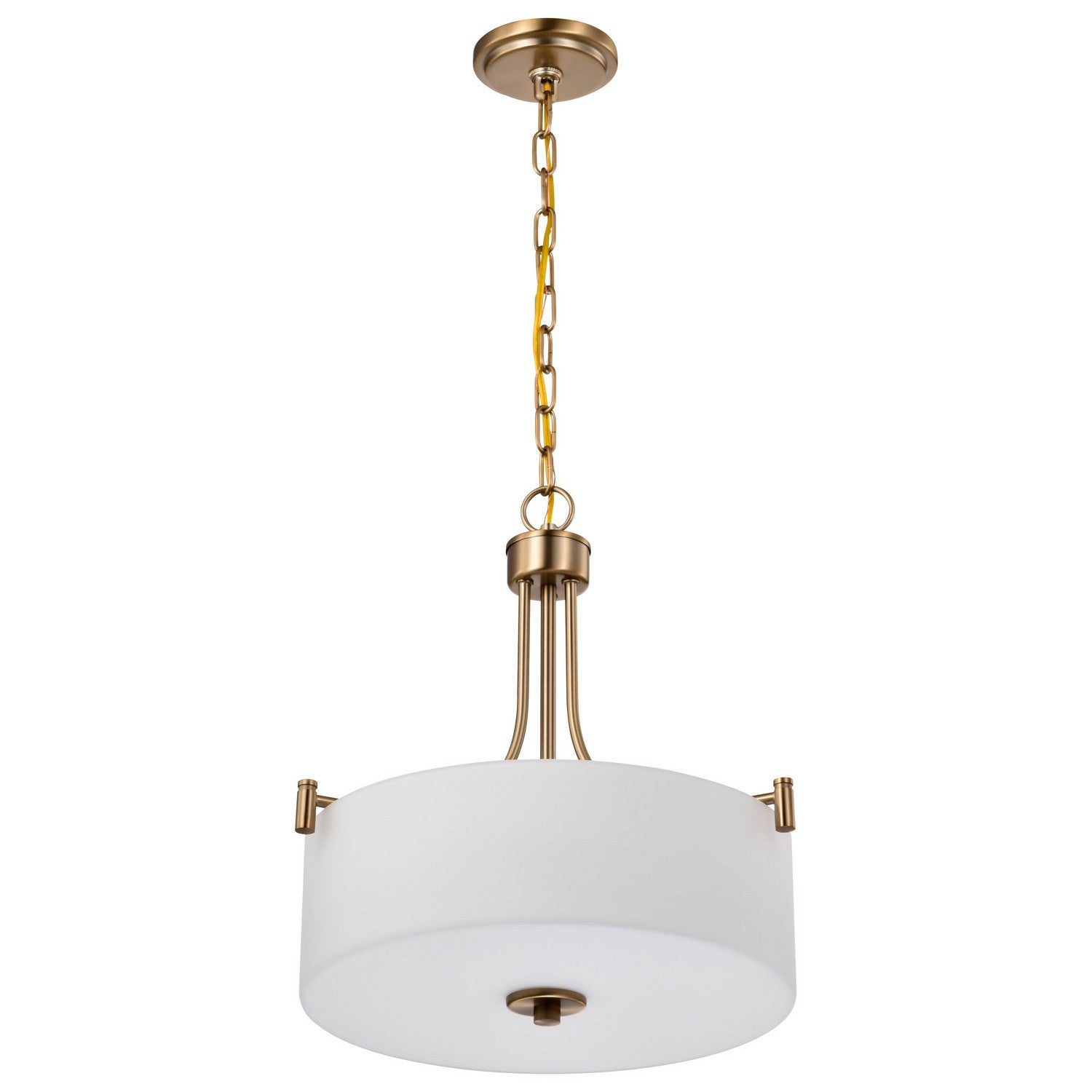 Nuvo Lighting - 60-8204 - Three Light Pendant - Liam - Burnished Brass