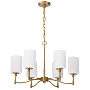 Nuvo Lighting - 60-8206 - Six Light Chandelier - Liam - Burnished Brass