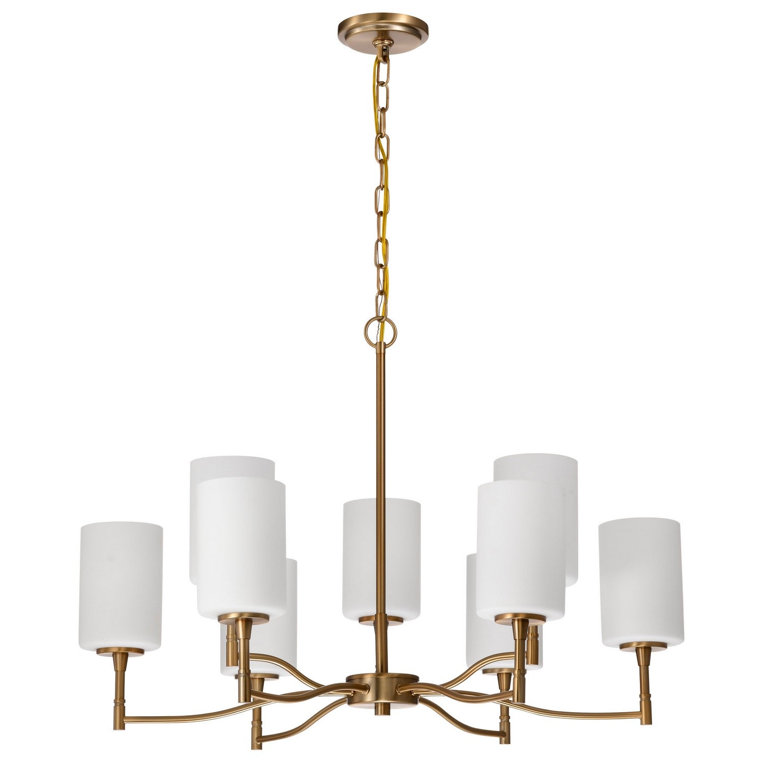 Nuvo Lighting - 60-8209 - Nine Light Chandelier - Liam - Burnished Brass