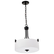 Nuvo Lighting - 60-8214 - Three Light Pendant - Liam - Matte Black