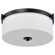 Nuvo Lighting - 60-8217 - Three Light Flush Mount - Liam - Matte Black
