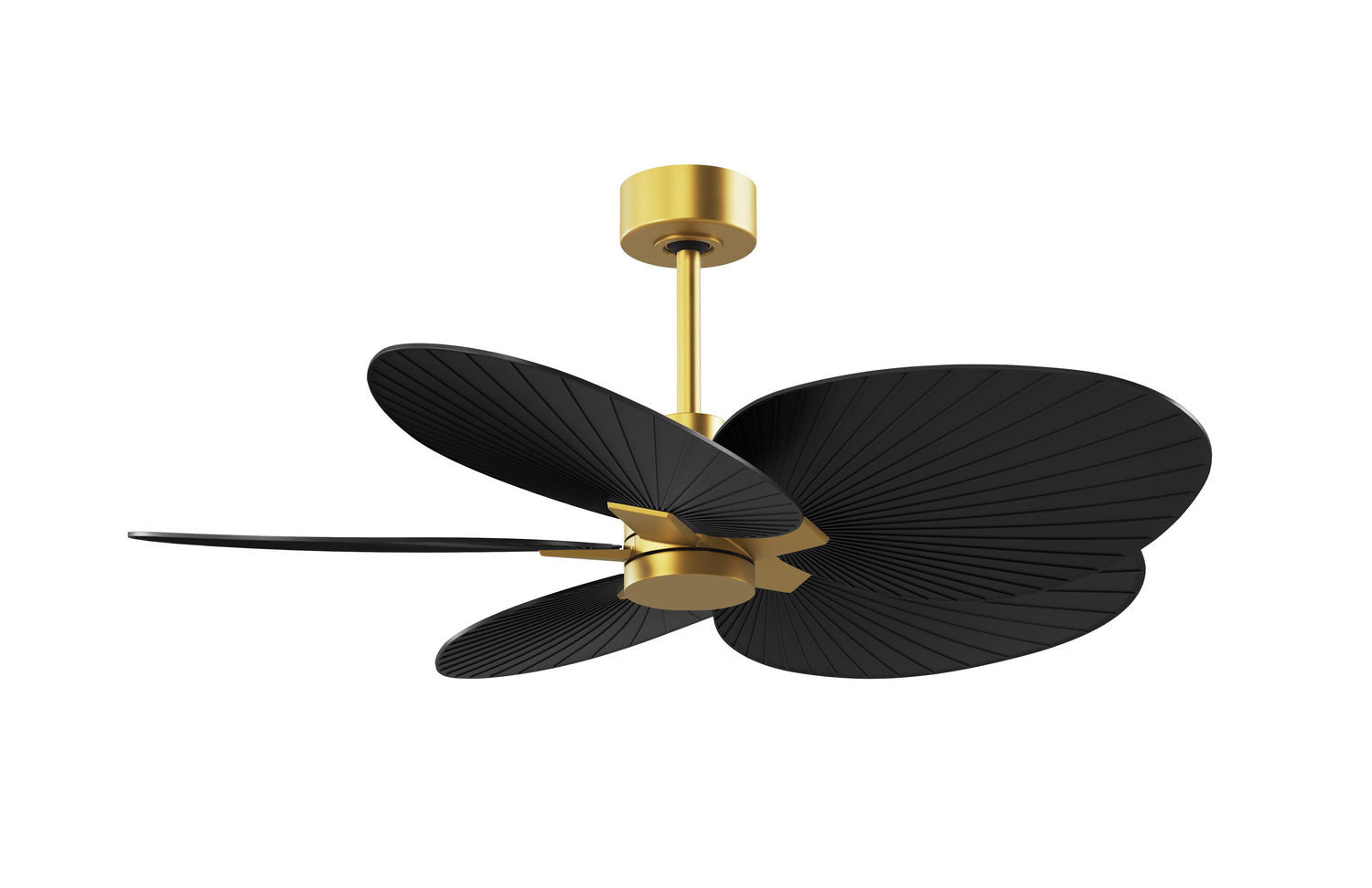 Matthews Fan Company - AKTP-BRBR-BK - 48" Ceiling Fan - Alessandra Tropical - Brushed Brass