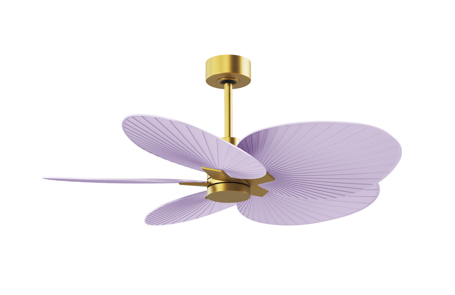 Matthews Fan Company - AKTP-BRBR-LI - 48" Ceiling Fan - Alessandra Tropical - Brushed Brass