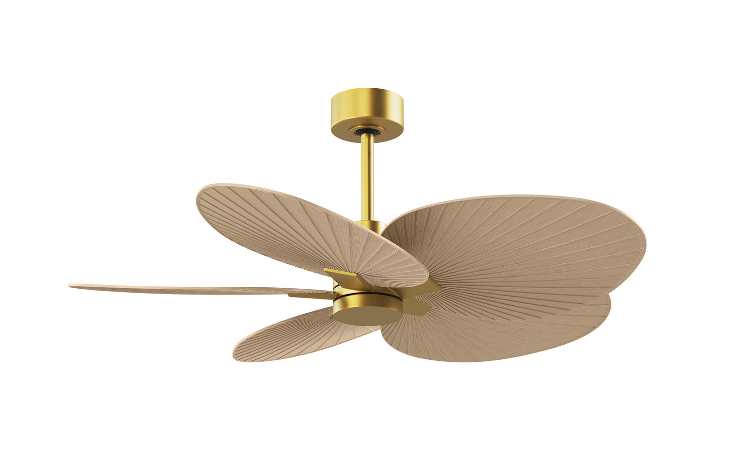 Matthews Fan Company - AKTP-BRBR-LM - 48" Ceiling Fan - Alessandra Tropical - Brushed Brass