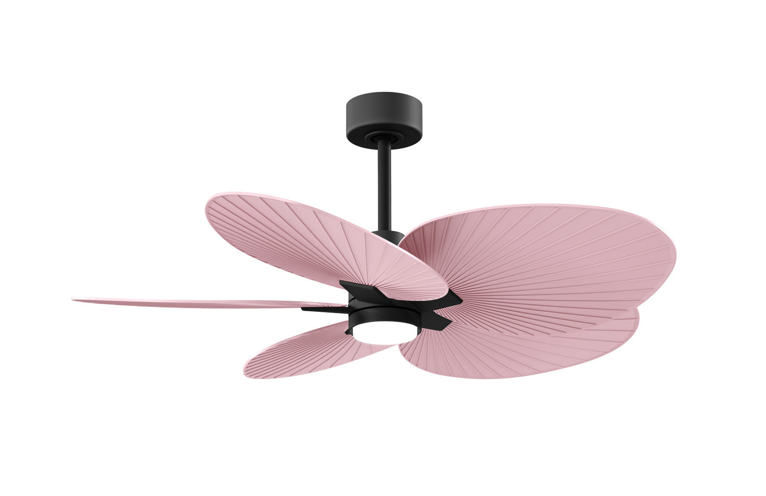 Matthews Fan Company - AKTPLK-BK-PI - 48" Ceiling Fan - Alessandra Tropical - LK - Matte Black
