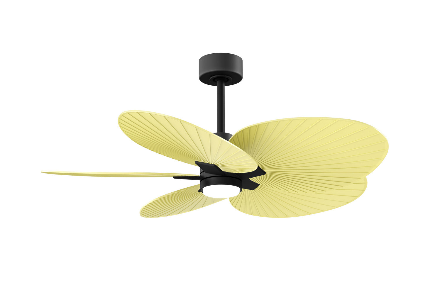 Matthews Fan Company - AKTPLK-BK-YE - 48" Ceiling Fan - Alessandra Tropical - LK - Matte Black