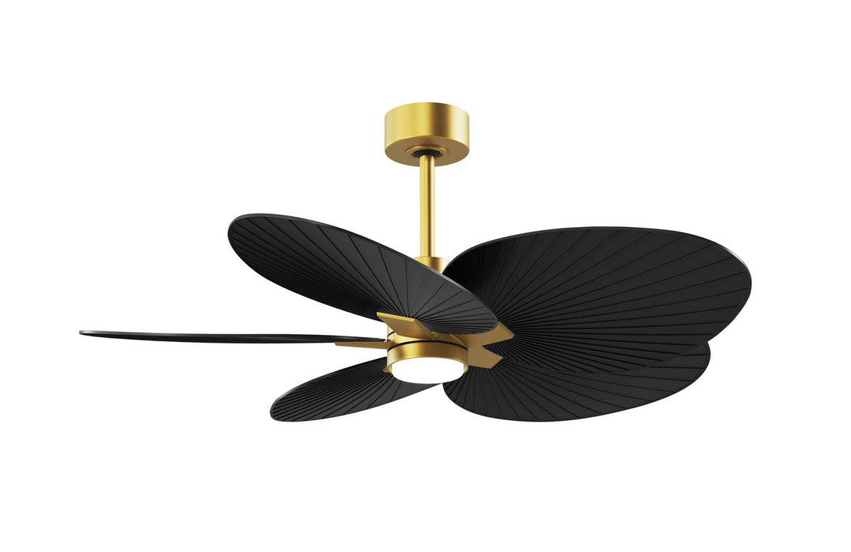 Matthews Fan Company - AKTPLK-BRBR-BK - 48" Ceiling Fan - Alessandra Tropical - LK - Brushed Brass