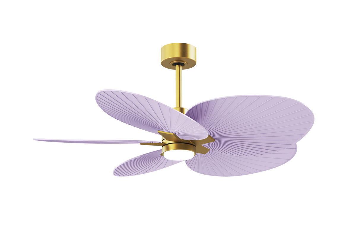 Matthews Fan Company - AKTPLK-BRBR-LI - 48" Ceiling Fan - Alessandra Tropical - LK - Brushed Brass