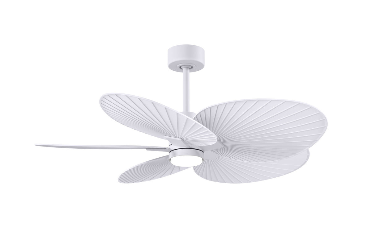Matthews Fan Company - AKTPLK-MWH-MWH - 48" Ceiling Fan - Alessandra Tropical - LK - Matte White