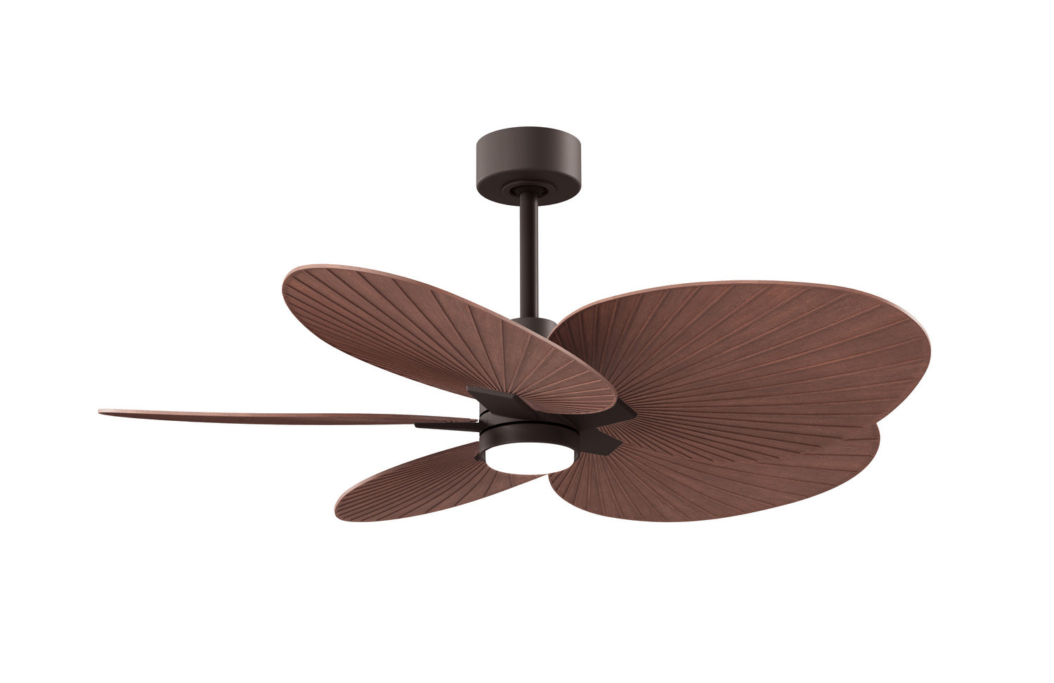 Matthews Fan Company - AKTPLK-TB-WN - 48" Ceiling Fan - Alessandra Tropical - LK - Textured Bronze