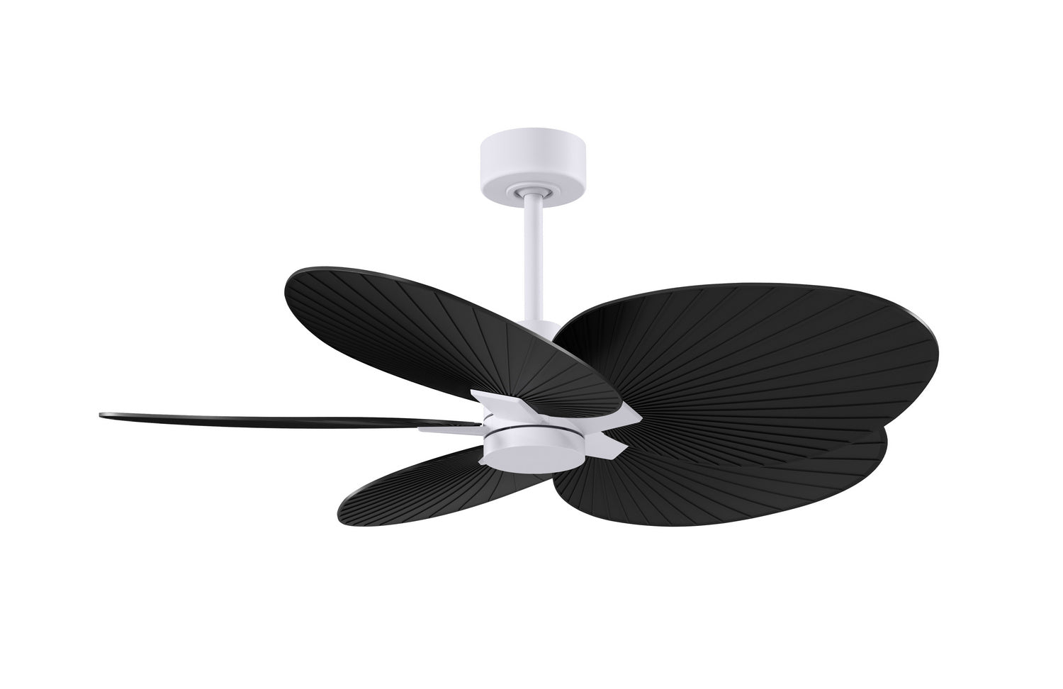 Matthews Fan Company - AKTP-MWH-BK - 48" Ceiling Fan - Alessandra Tropical - Matte White