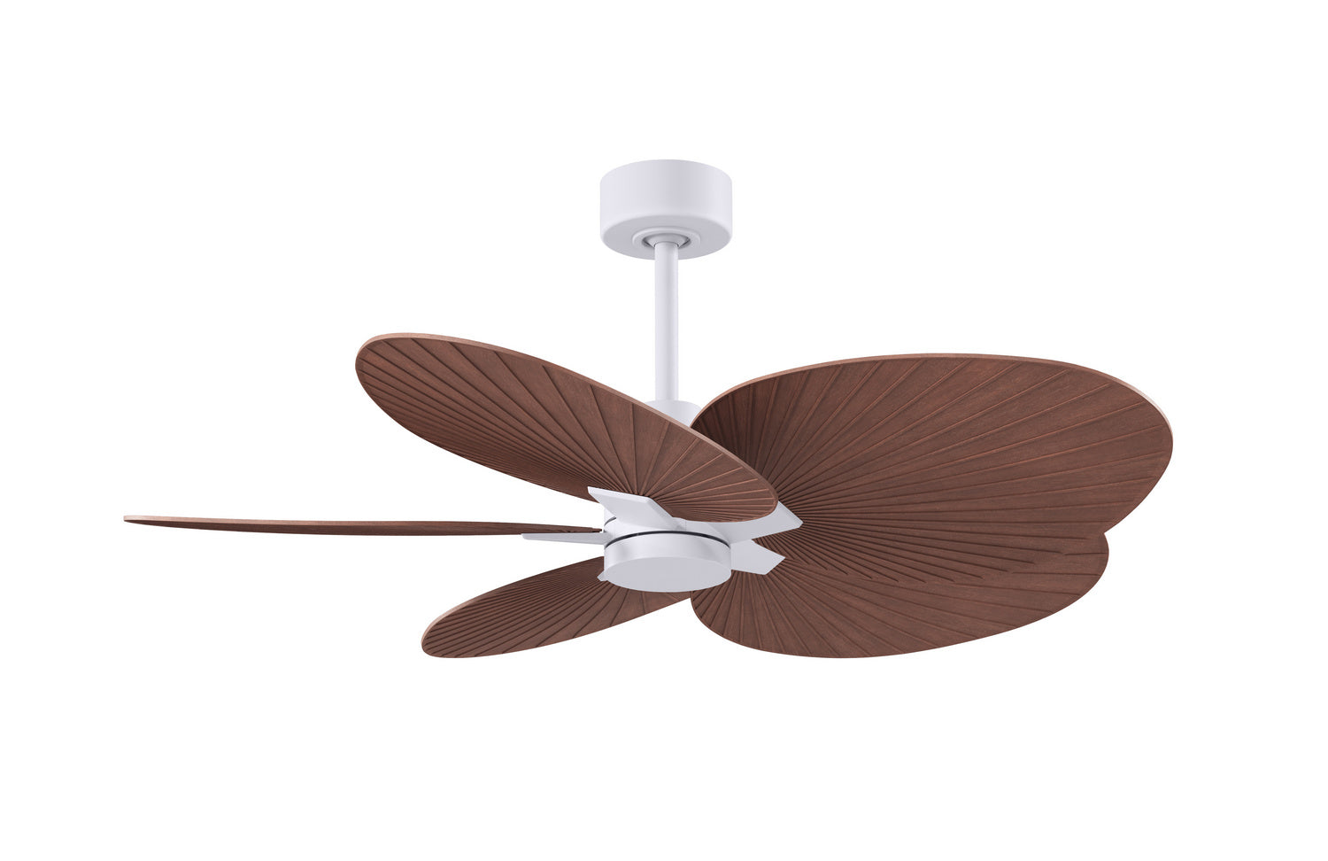 Matthews Fan Company - AKTP-MWH-WN - 48" Ceiling Fan - Alessandra Tropical - Matte White