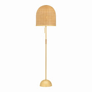 Hudson Valley - L9864-AGB - One Light Floor Lamp - Darfield - Aged Brass