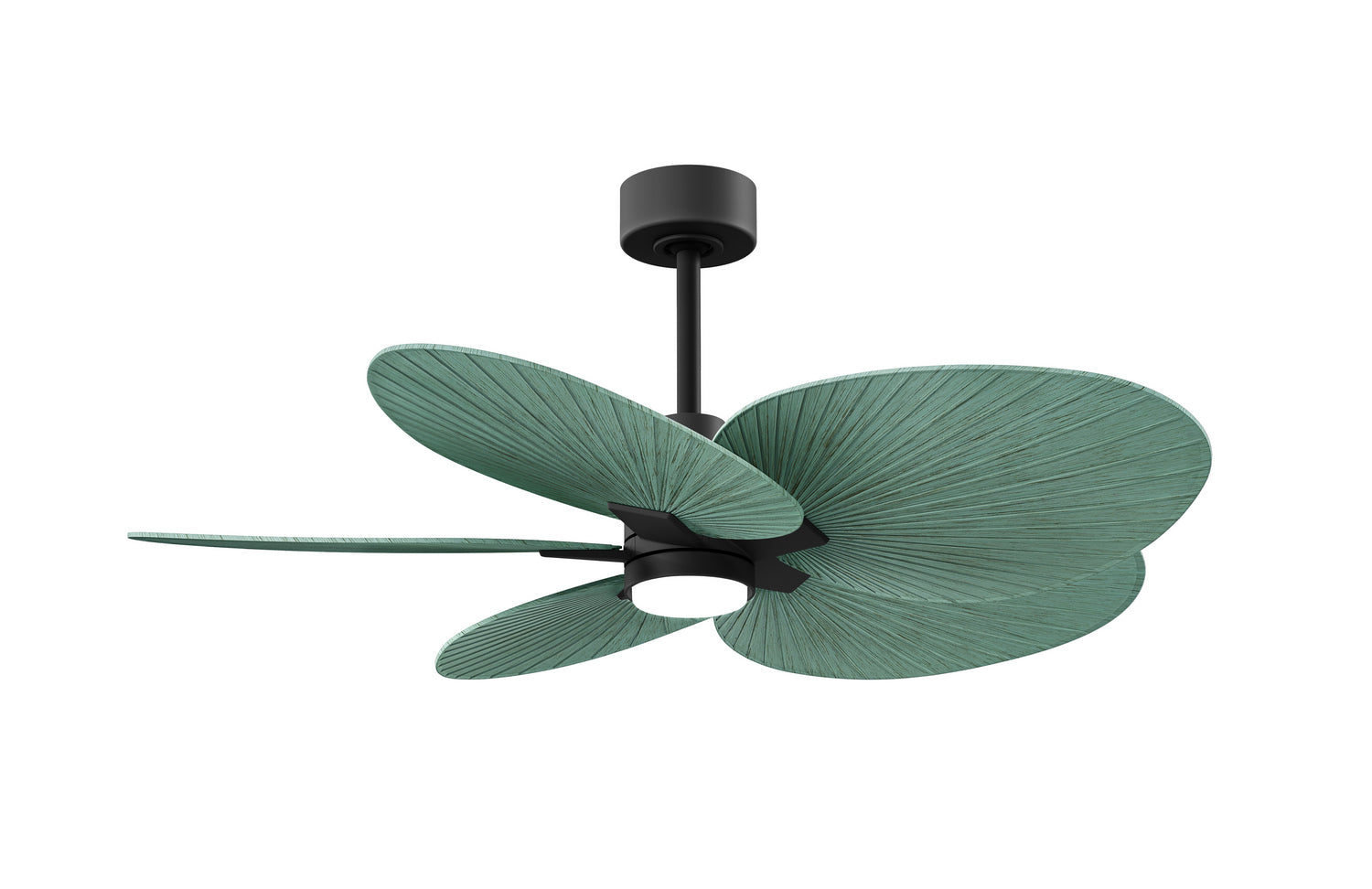 Matthews Fan Company - AKTPLK-BK-PL - Five Blade Ceiling Fan - Alessandra Tropical - LK - Matte Black