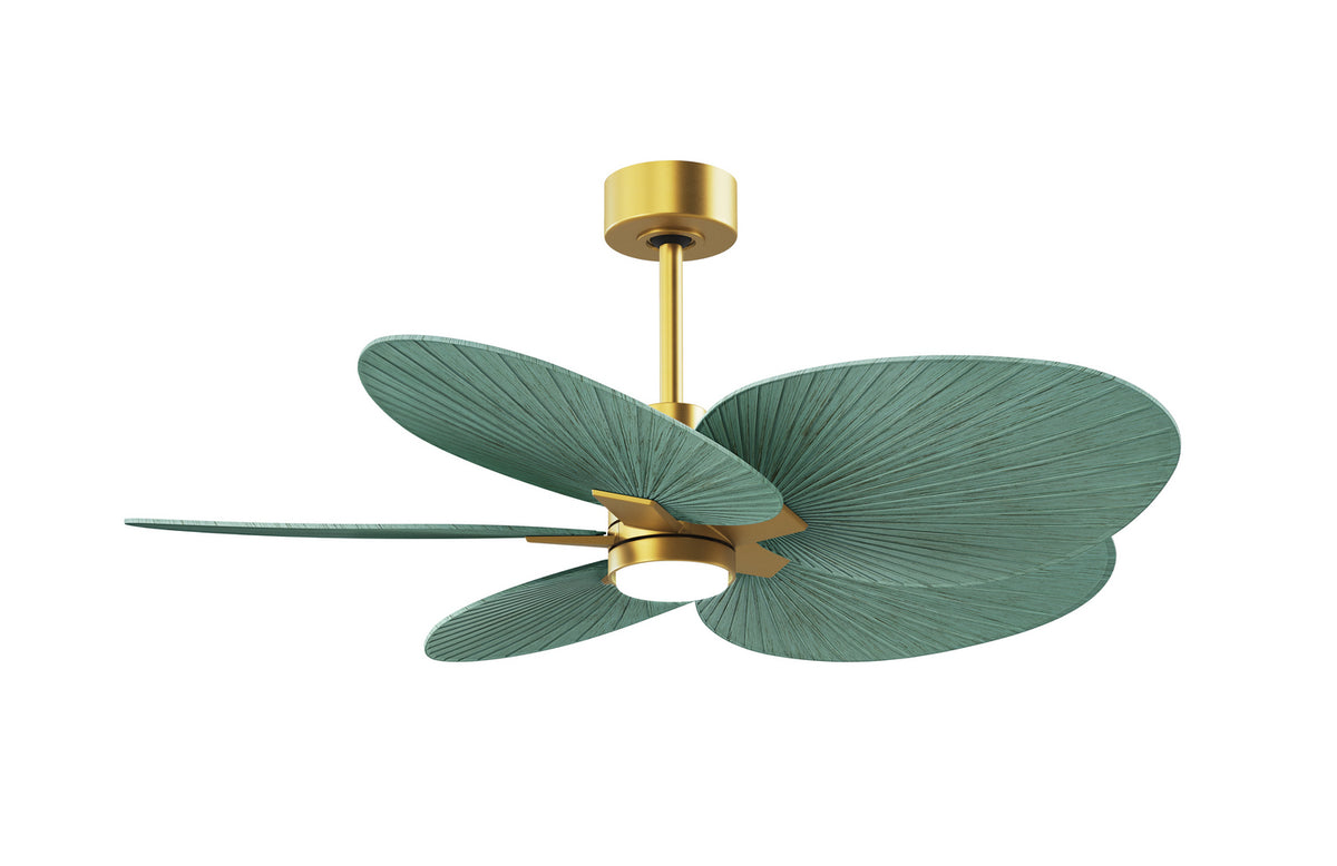 Matthews Fan Company - AKTPLK-BRBR-PL - Five Blade Ceiling Fan - Alessandra Tropical - LK - Brushed Brass