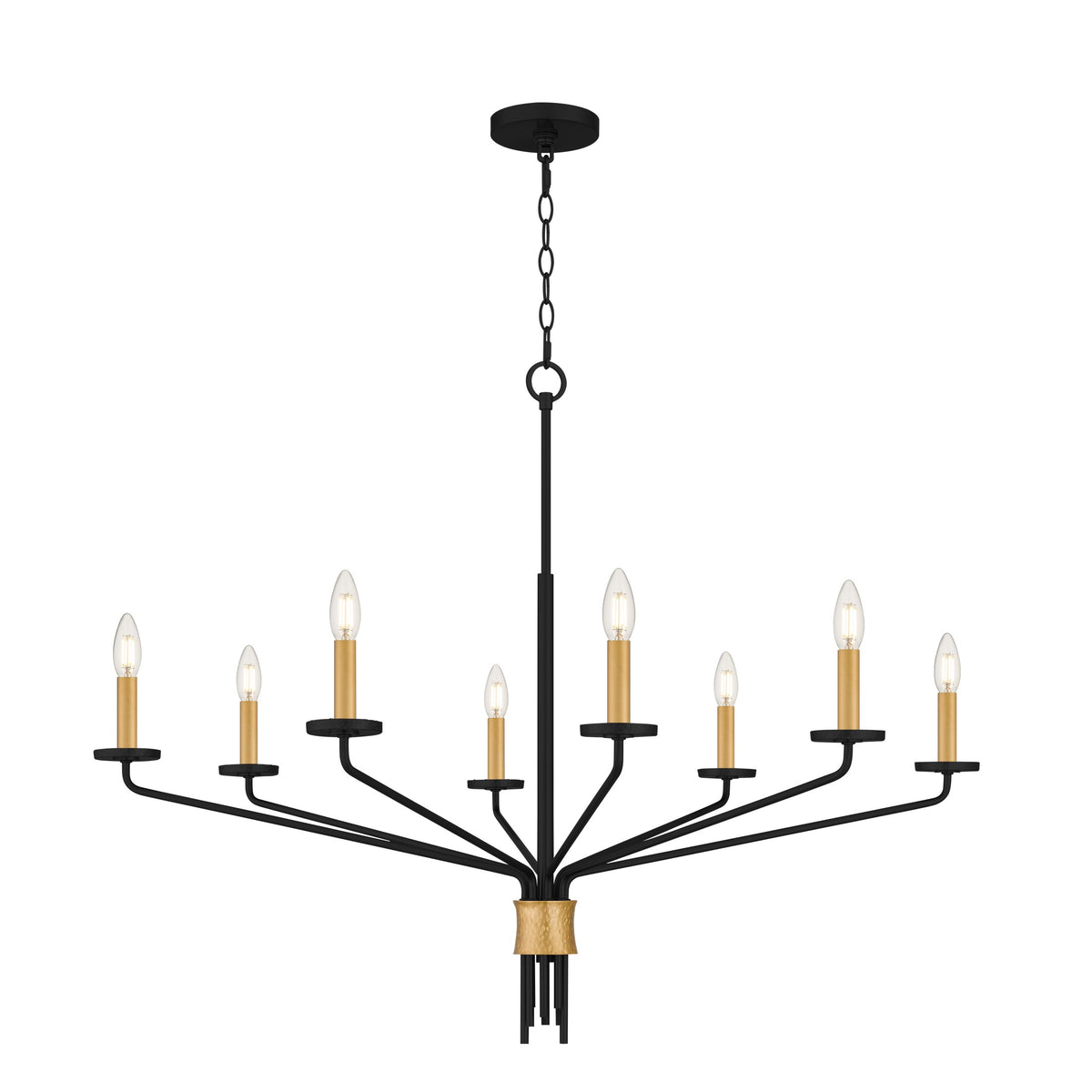Quoizel - ALEX5040MBK - Eight Light Chandelier - Alexander - Matte Black