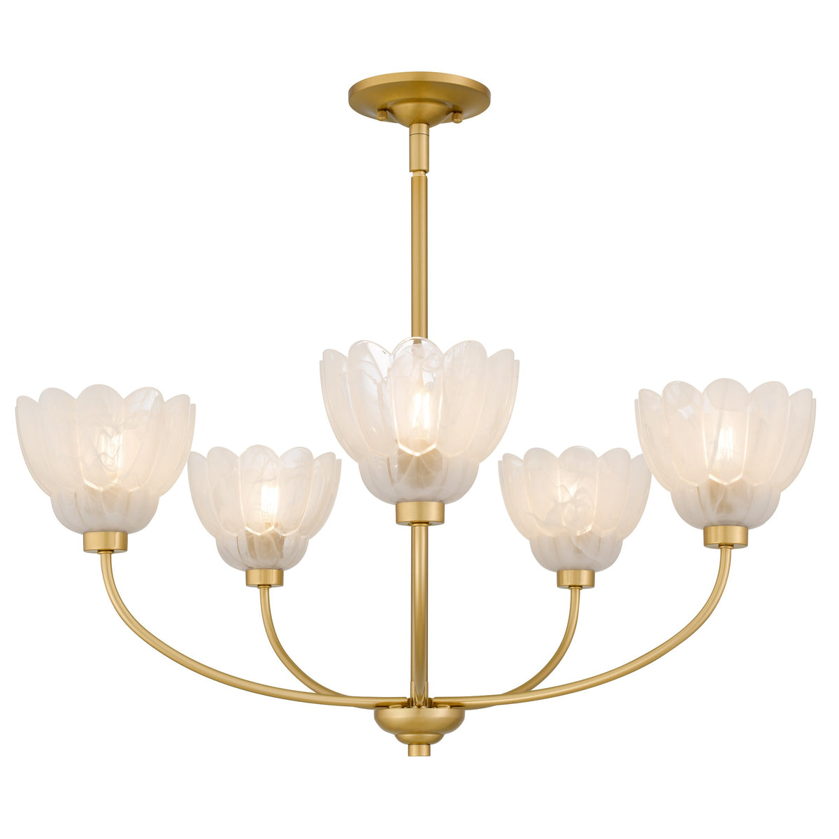 Quoizel - WHP5028BRG - Five Light Chandelier - Whitecap - Brushed Gold