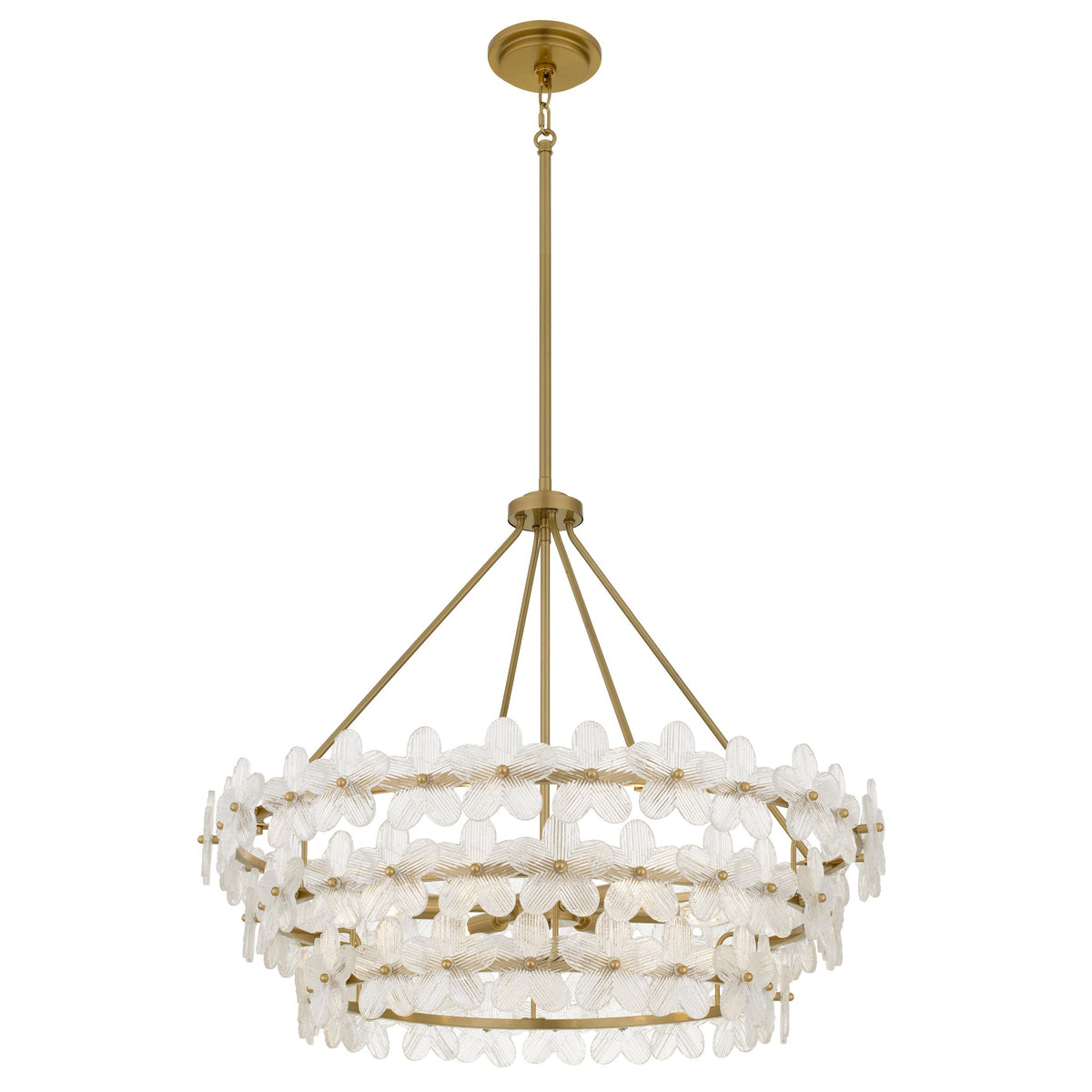 Quoizel - WRIG2830BRG - Six Light Pendant - Wright - Brushed Gold