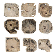 Uttermost - 04398 - Wall Decor Set/9 - Bahati - Light Bleached