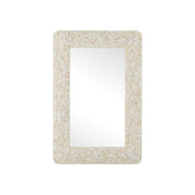Currey and Company - 1000-0168 - Mirror - Turbinella - Natural