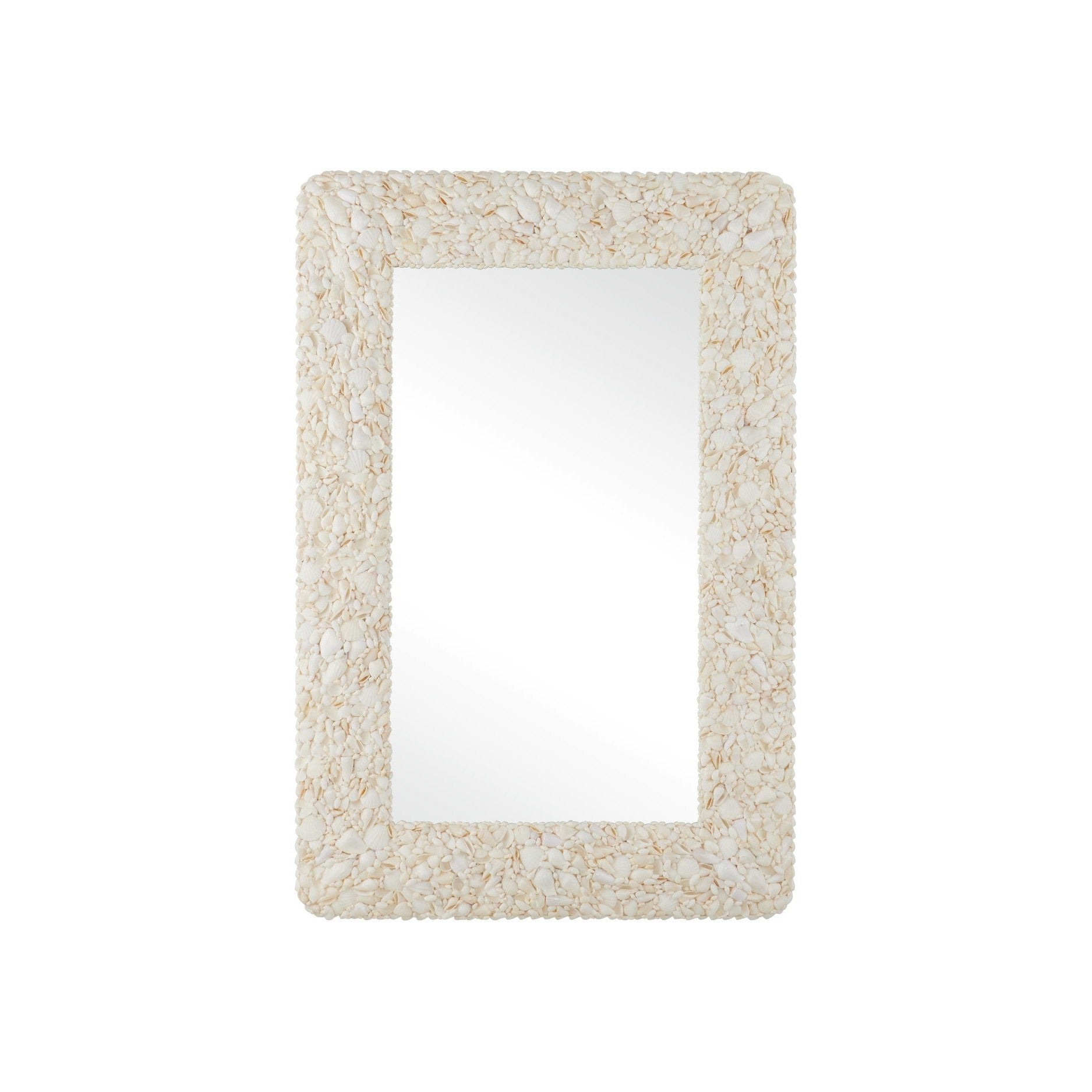 Currey and Company - 1000-0168 - Mirror - Turbinella - Natural