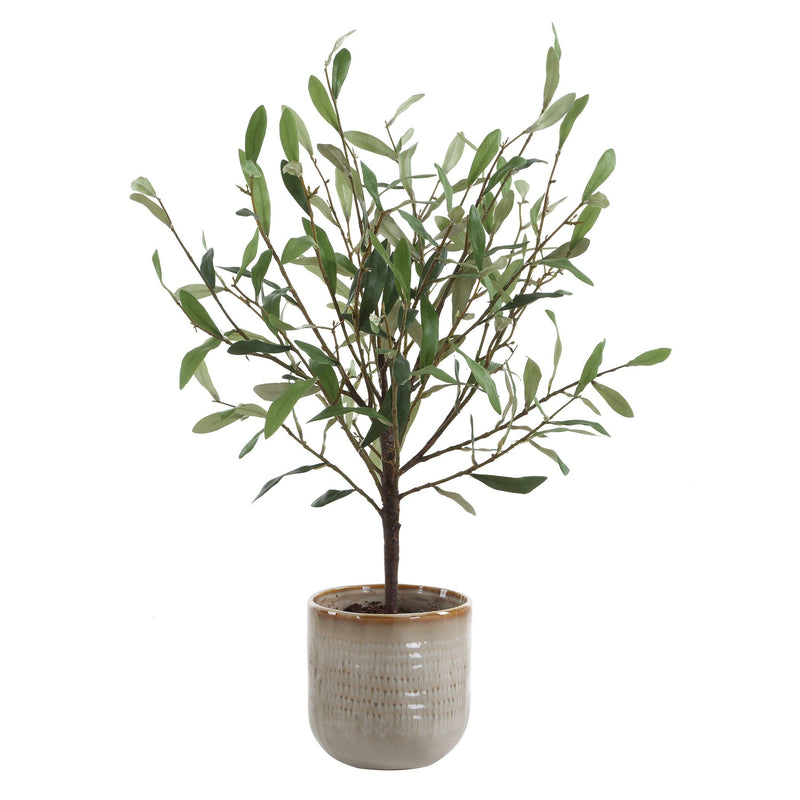 Uttermost - 60264 - Vase - Solea Olive - Green And Silvery