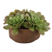 Uttermost - 60267 - Accent In Pot - Sable Succulent - Natural Terracotta