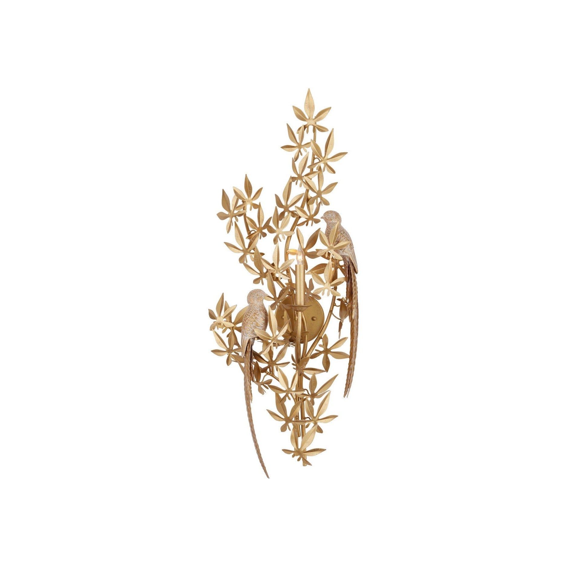 Currey and Company - 5000-0282 - One Light Wall Sconce - Aviary - Swedish Gold